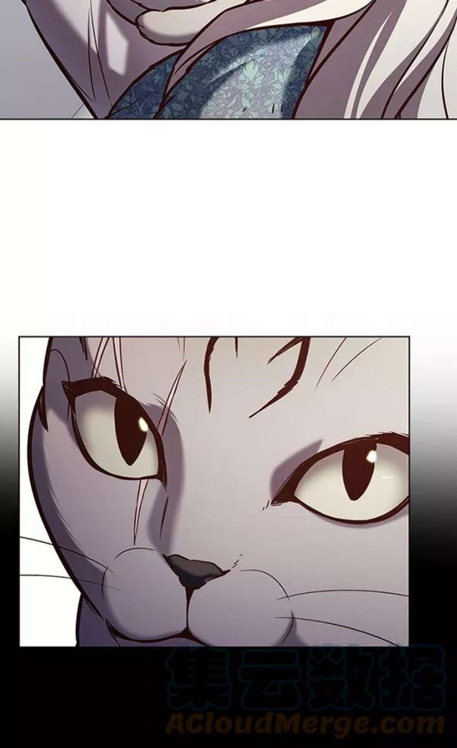 觉醒吧，铲屎官！188话