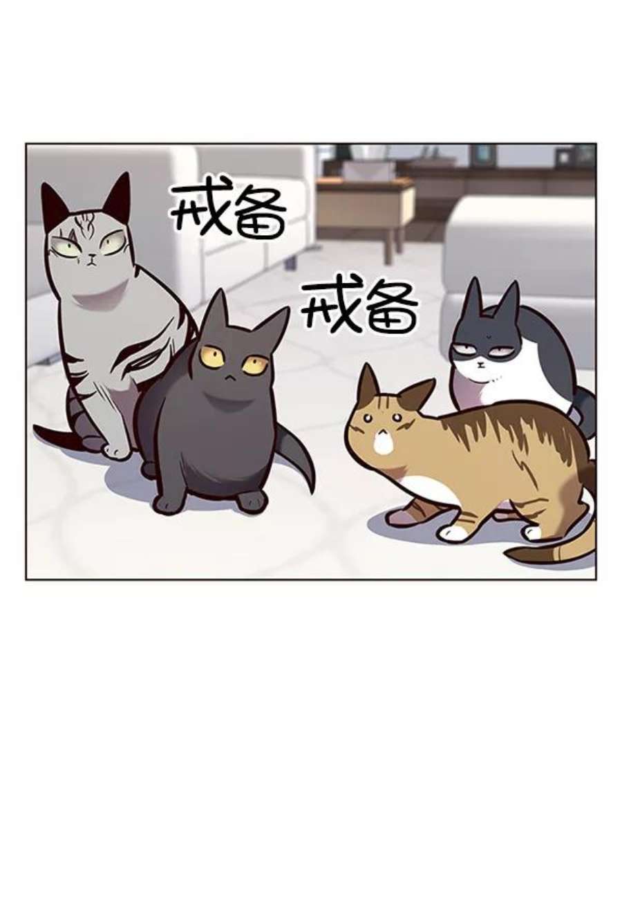 觉醒吧，铲屎官！188话