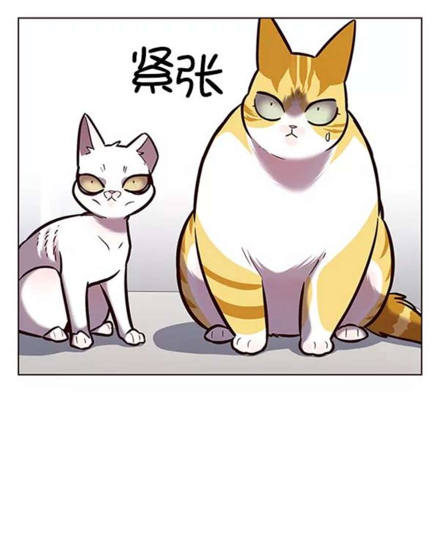 觉醒吧，铲屎官！188话