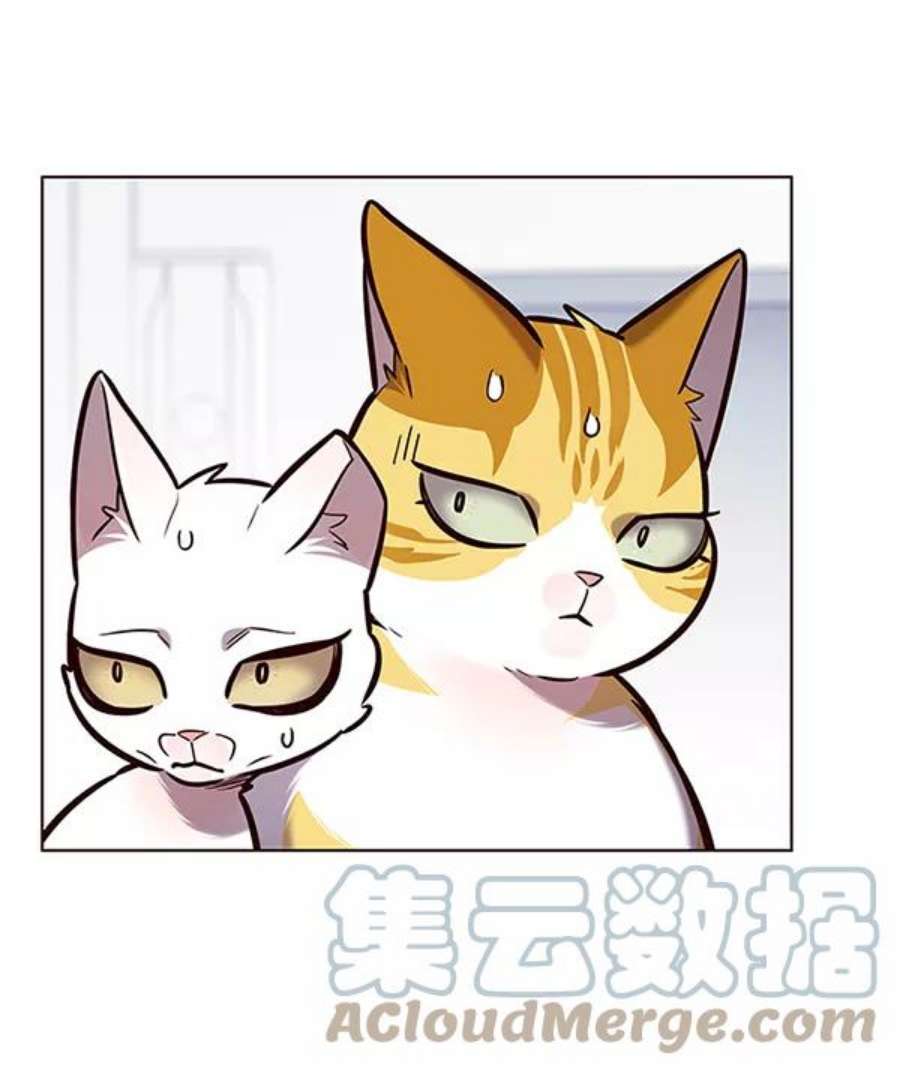 觉醒吧，铲屎官！188话