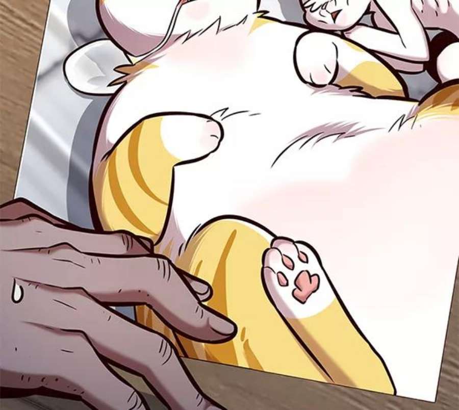 觉醒吧，铲屎官！193话