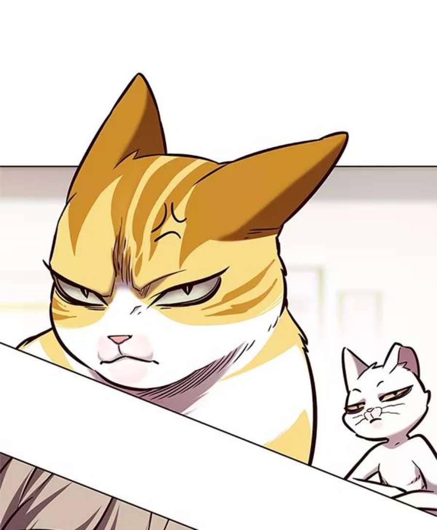 觉醒吧，铲屎官！196话