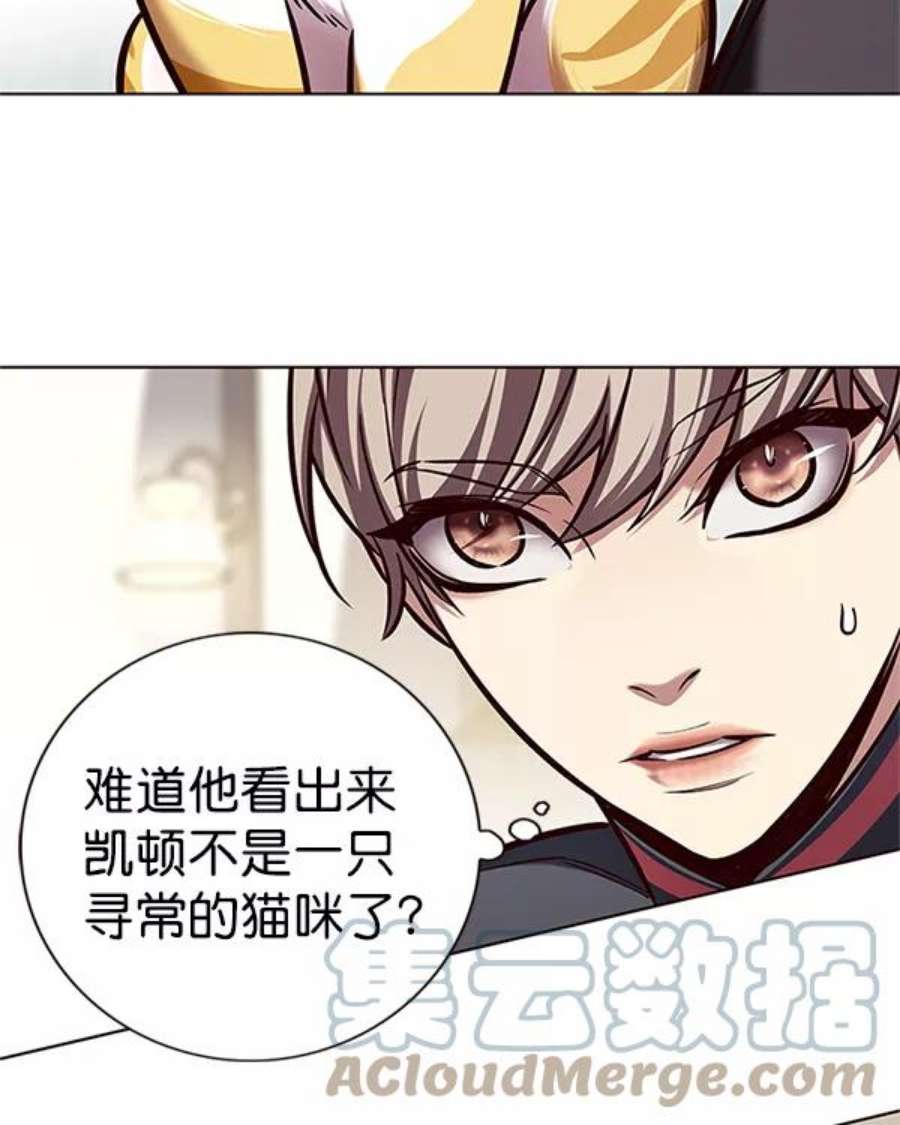 觉醒吧，铲屎官！196话