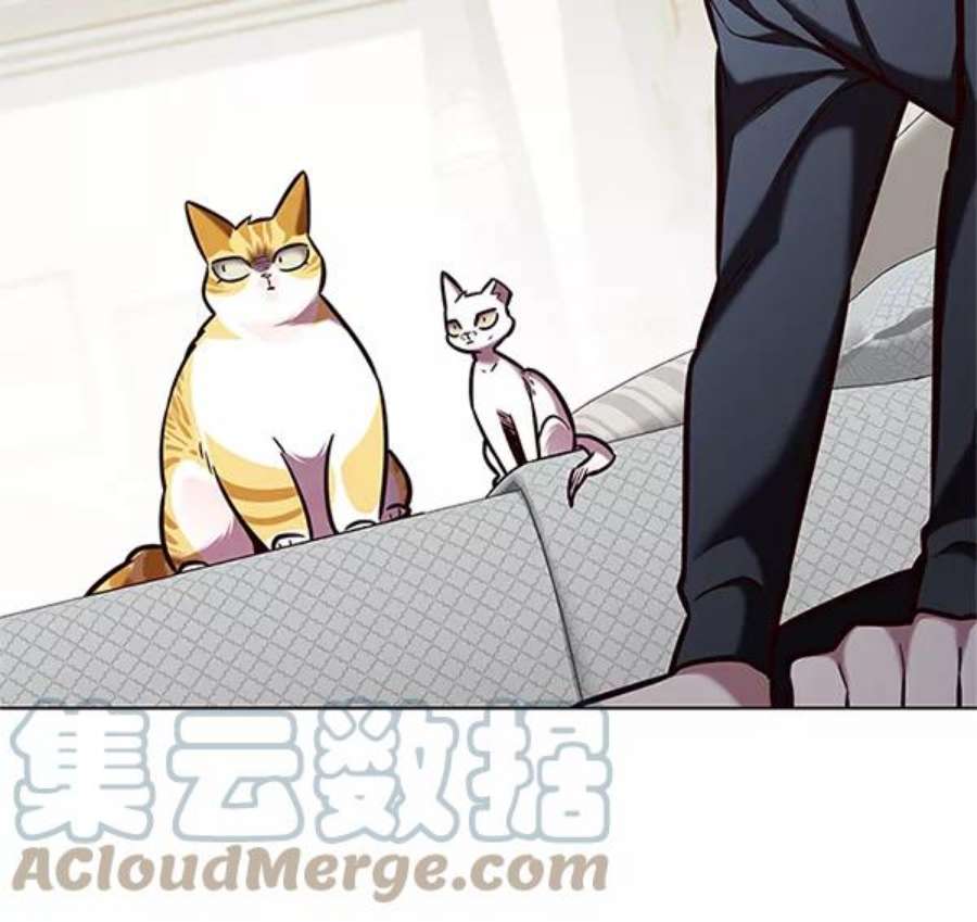 觉醒吧，铲屎官！196话