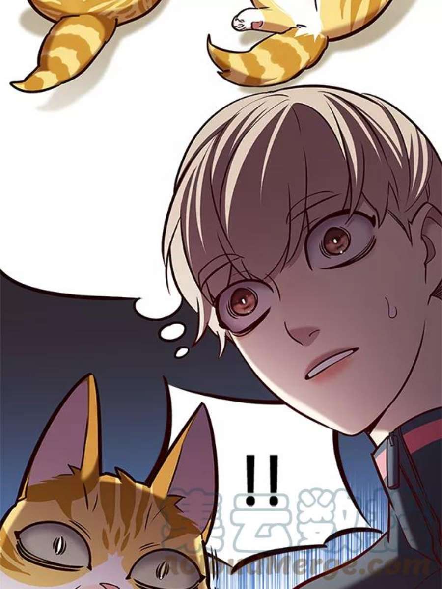 觉醒吧，铲屎官！196话