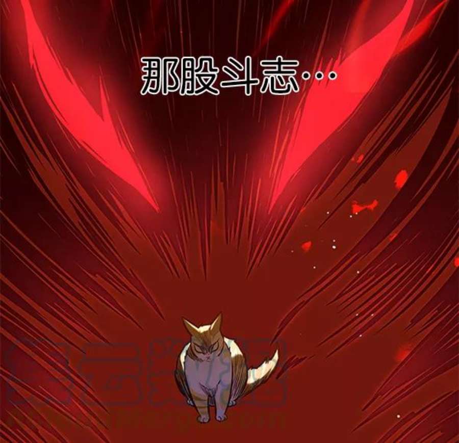 觉醒吧，铲屎官！196话