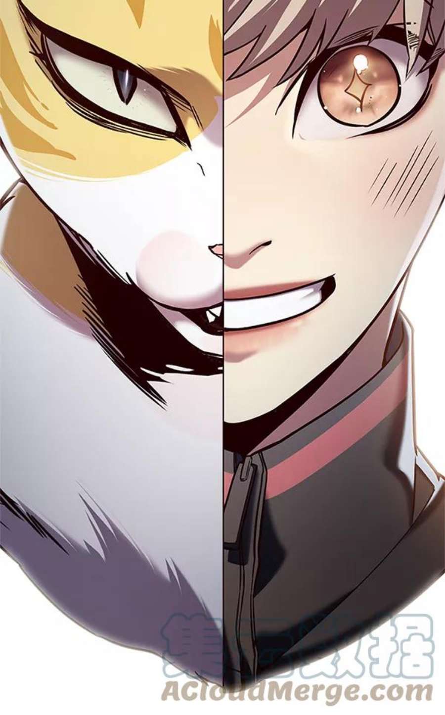 觉醒吧，铲屎官！198话