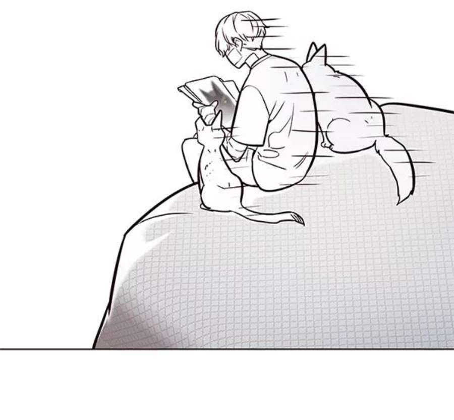 觉醒吧，铲屎官！199话