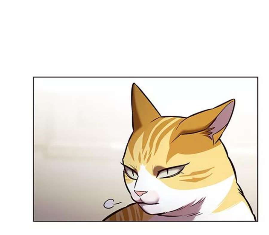 觉醒吧，铲屎官！199话