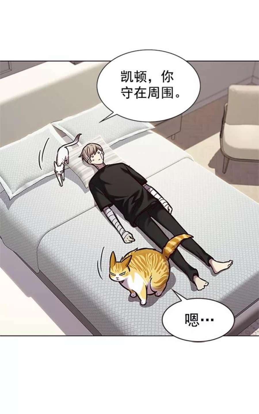 觉醒吧，铲屎官！199话