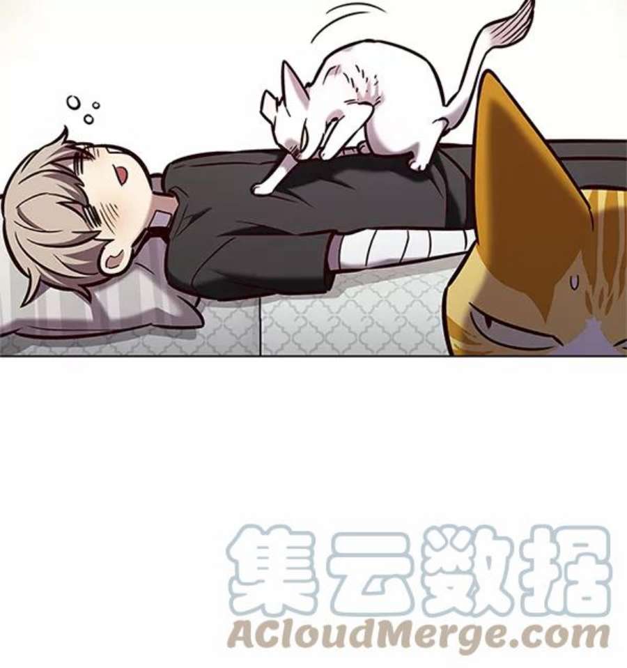 觉醒吧，铲屎官！199话