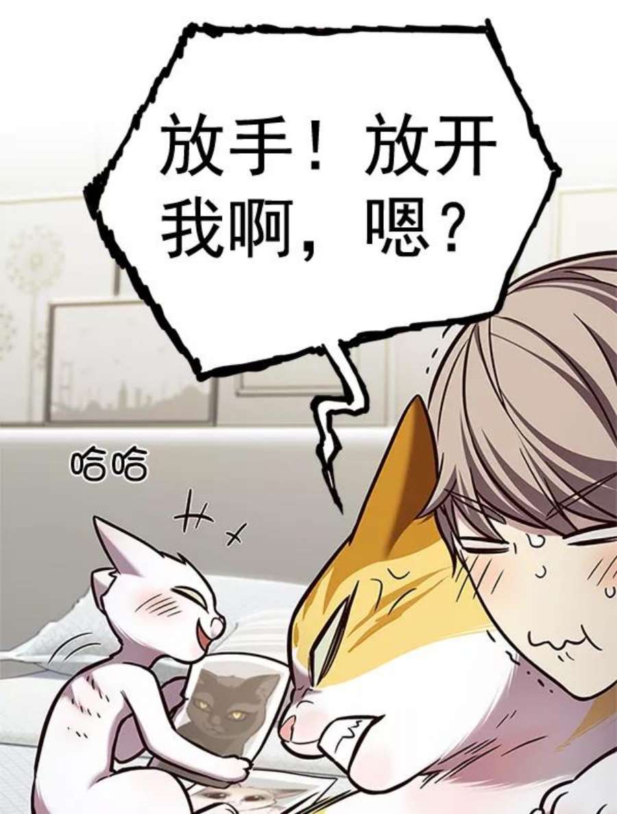 觉醒吧，铲屎官！200话