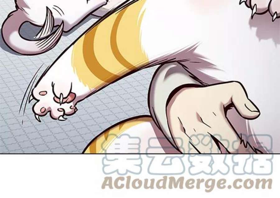 觉醒吧，铲屎官！200话