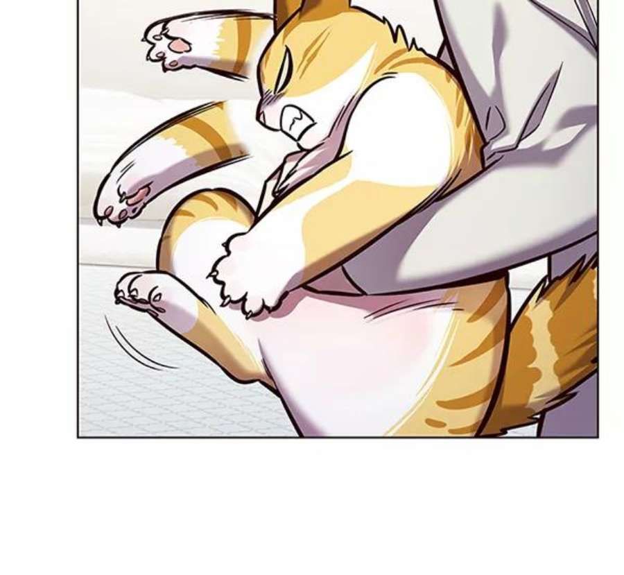 觉醒吧，铲屎官！200话