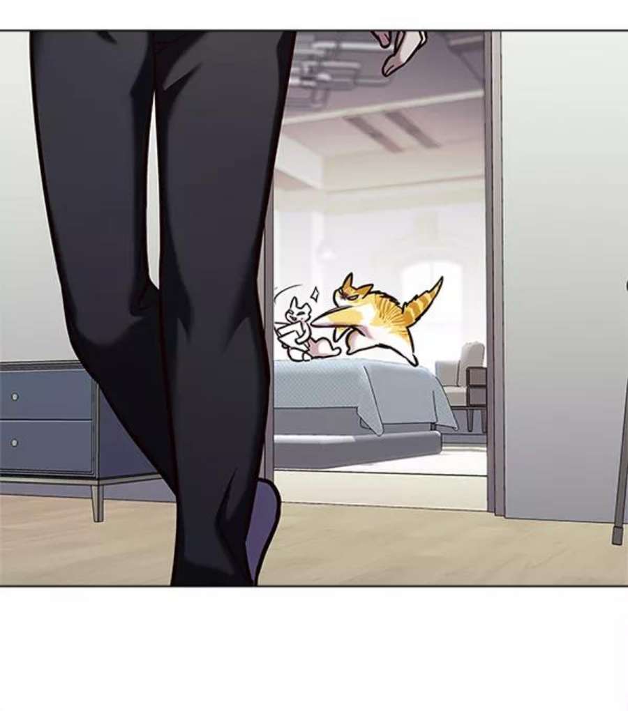 觉醒吧，铲屎官！200话