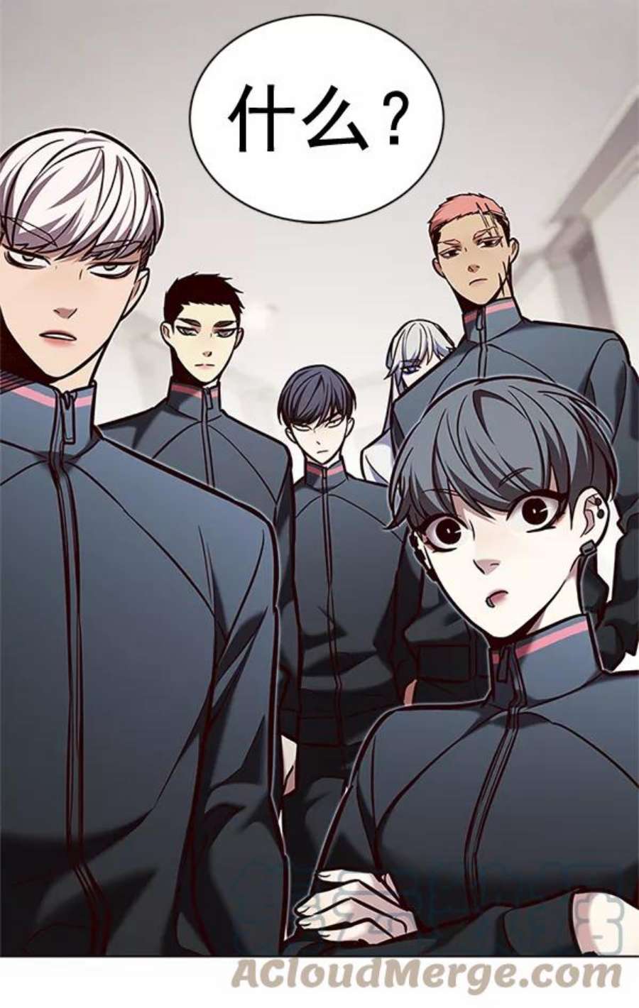 觉醒吧，铲屎官！200话