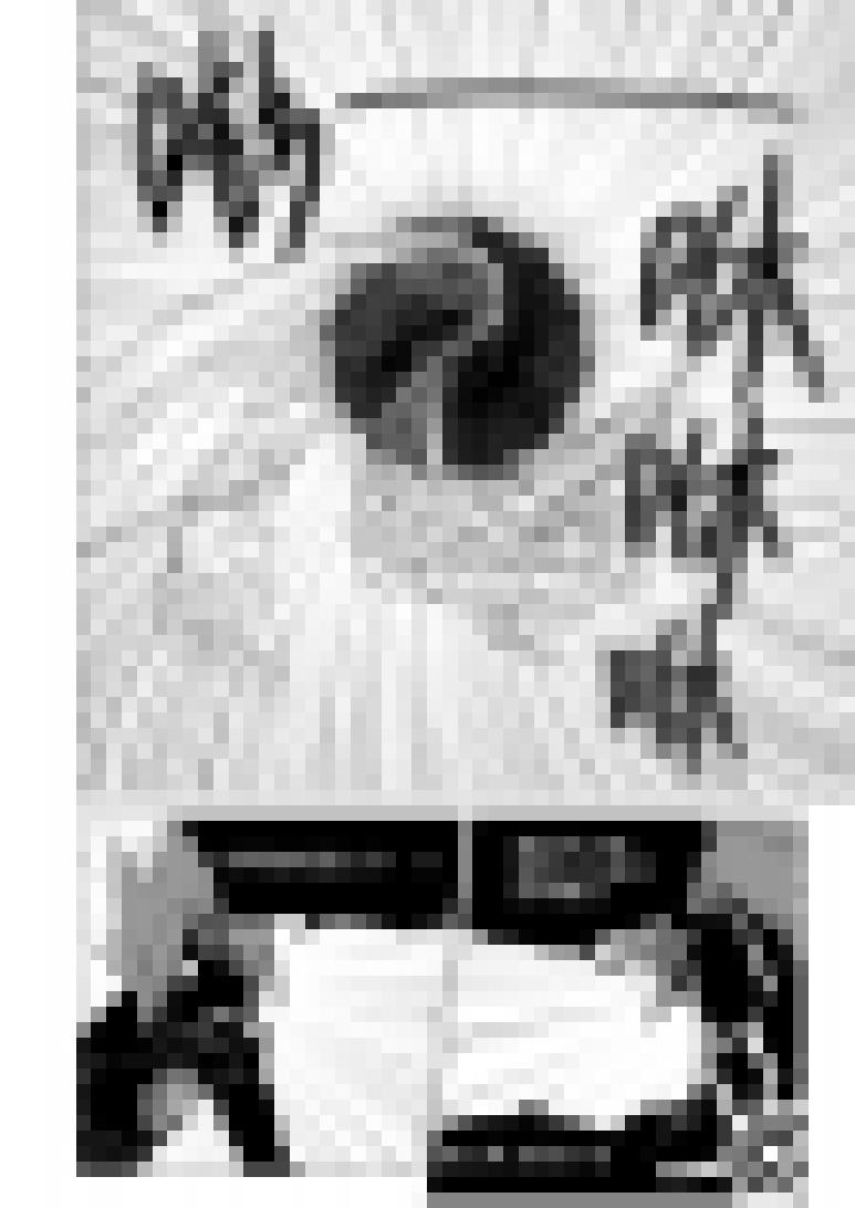 十万个冷笑话20031 打戏