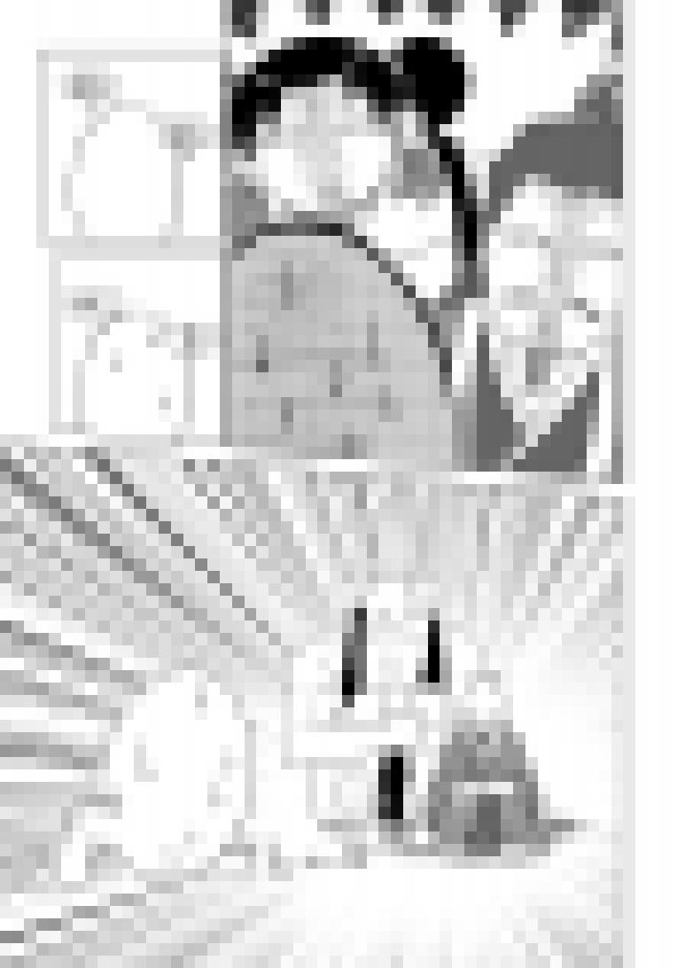 十万个冷笑话1015.1 哪吒篇