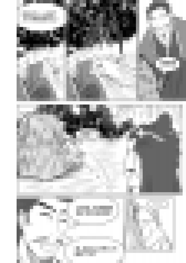 十万个冷笑话1015.1 哪吒篇