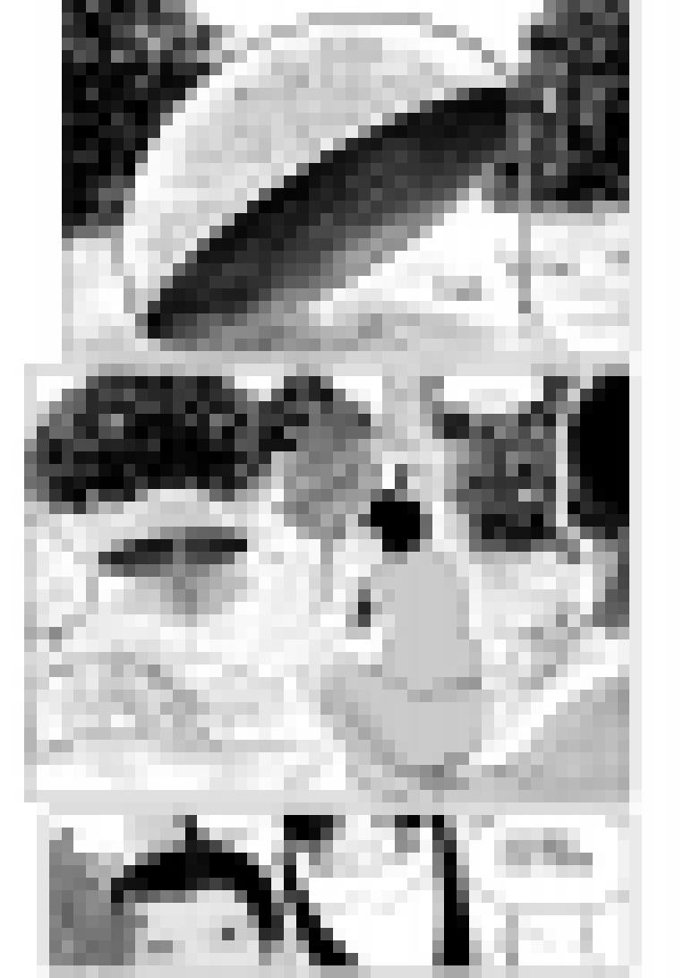 十万个冷笑话1015.1 哪吒篇