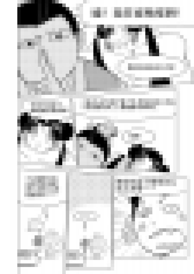 十万个冷笑话1015.1 哪吒篇