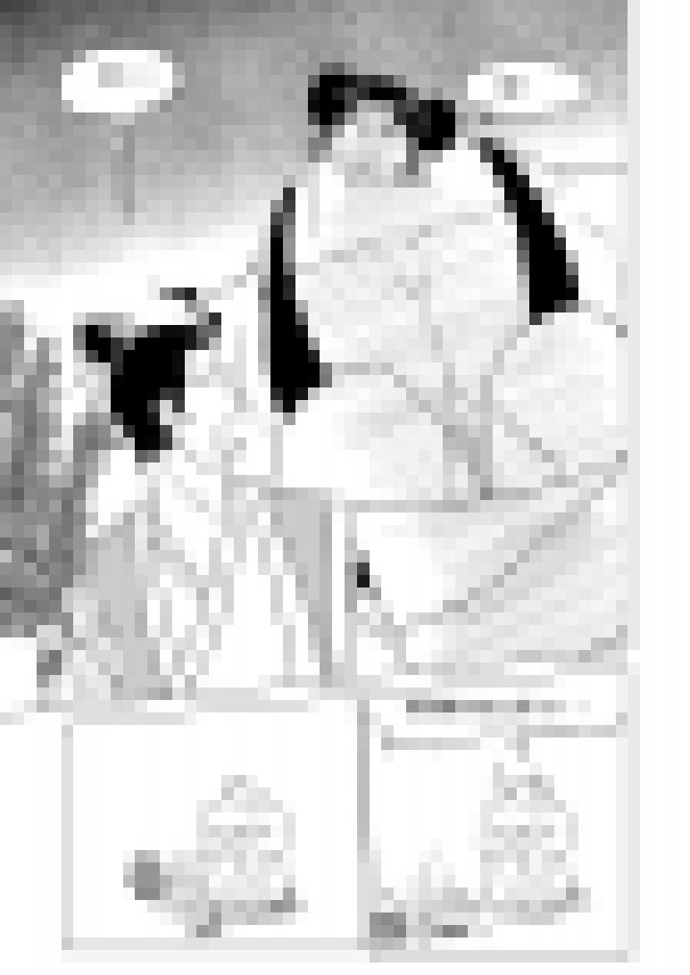 十万个冷笑话1015.1 哪吒篇