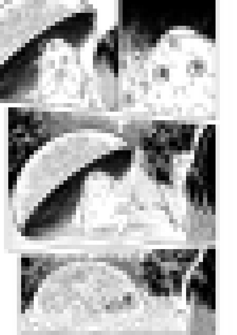 十万个冷笑话1015.1 哪吒篇