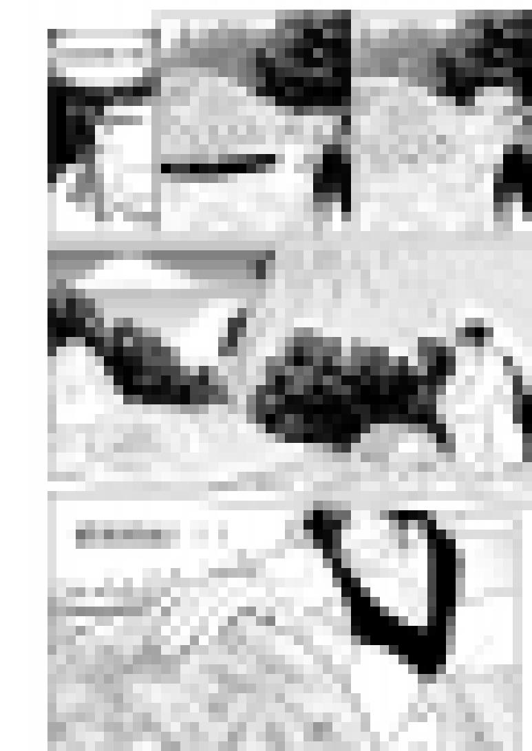 十万个冷笑话1015.1 哪吒篇