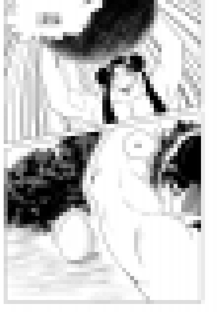 十万个冷笑话1015.1 哪吒篇