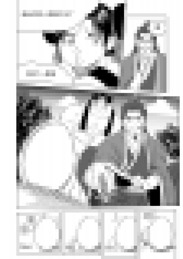 十万个冷笑话1015.1 哪吒篇