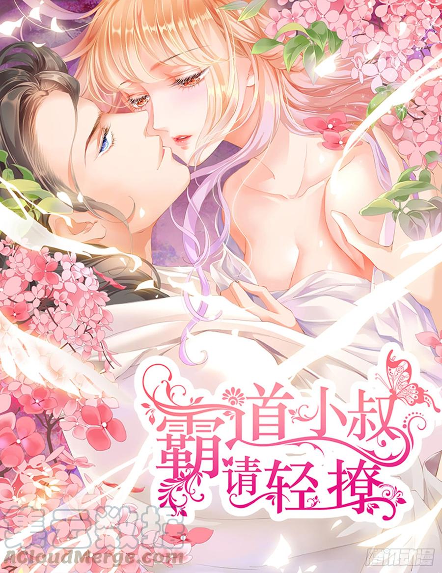 霸道小叔，请轻撩！在厨房……