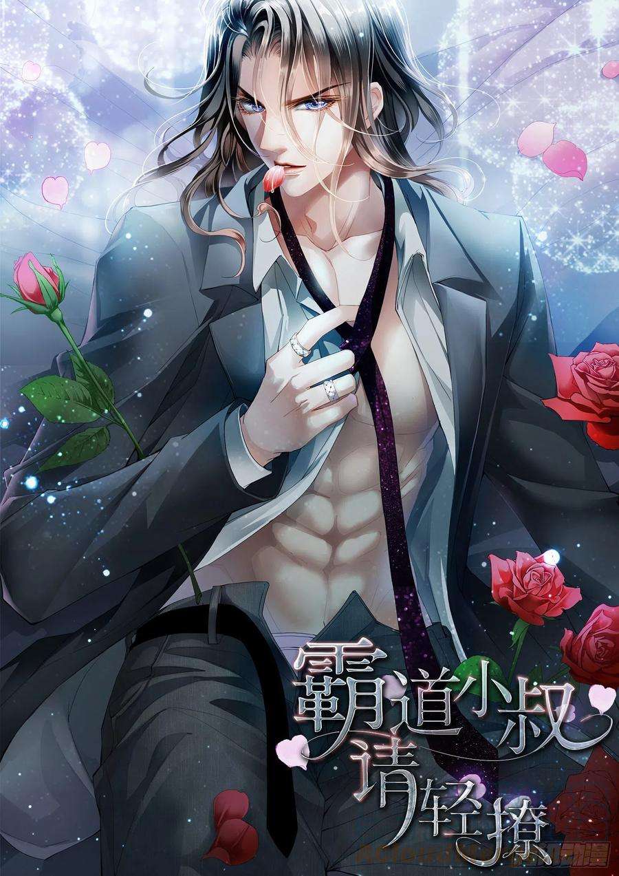 霸道小叔，请轻撩！小七，你只能爱我