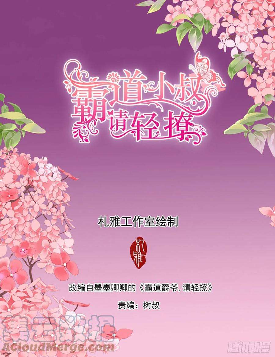 霸道小叔，请轻撩！小叔平安归来