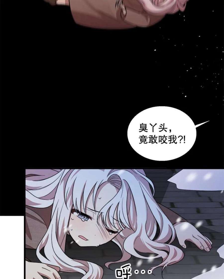 公女的危险哥哥们1.逼债