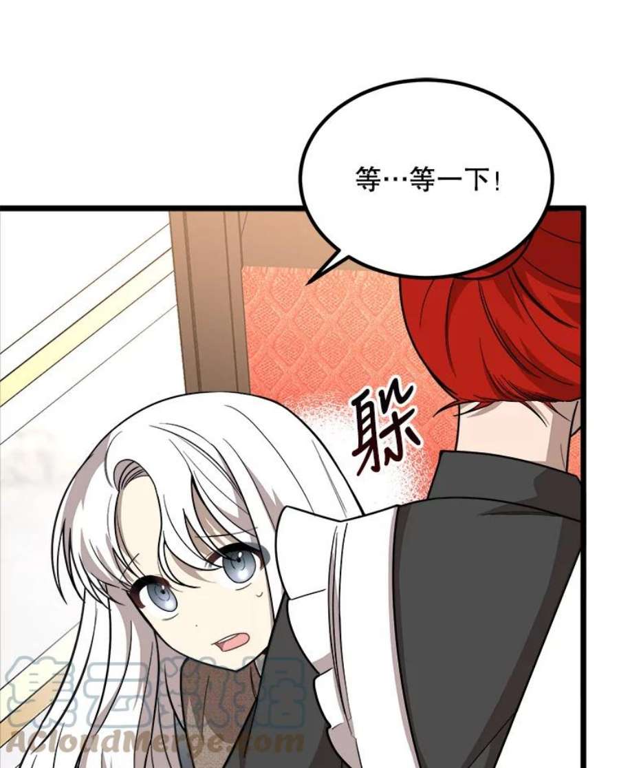 公女的危险哥哥们4.魔力中和石