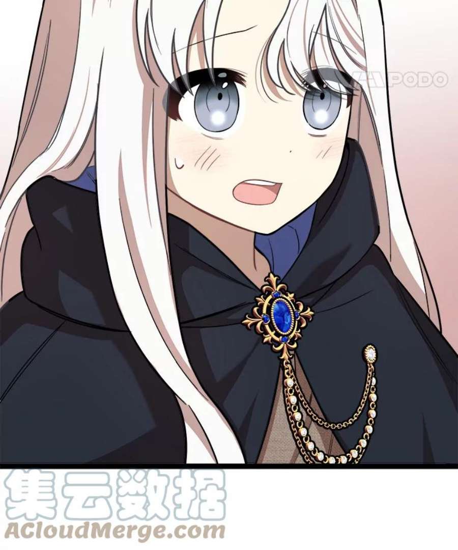 公女的危险哥哥们4.魔力中和石