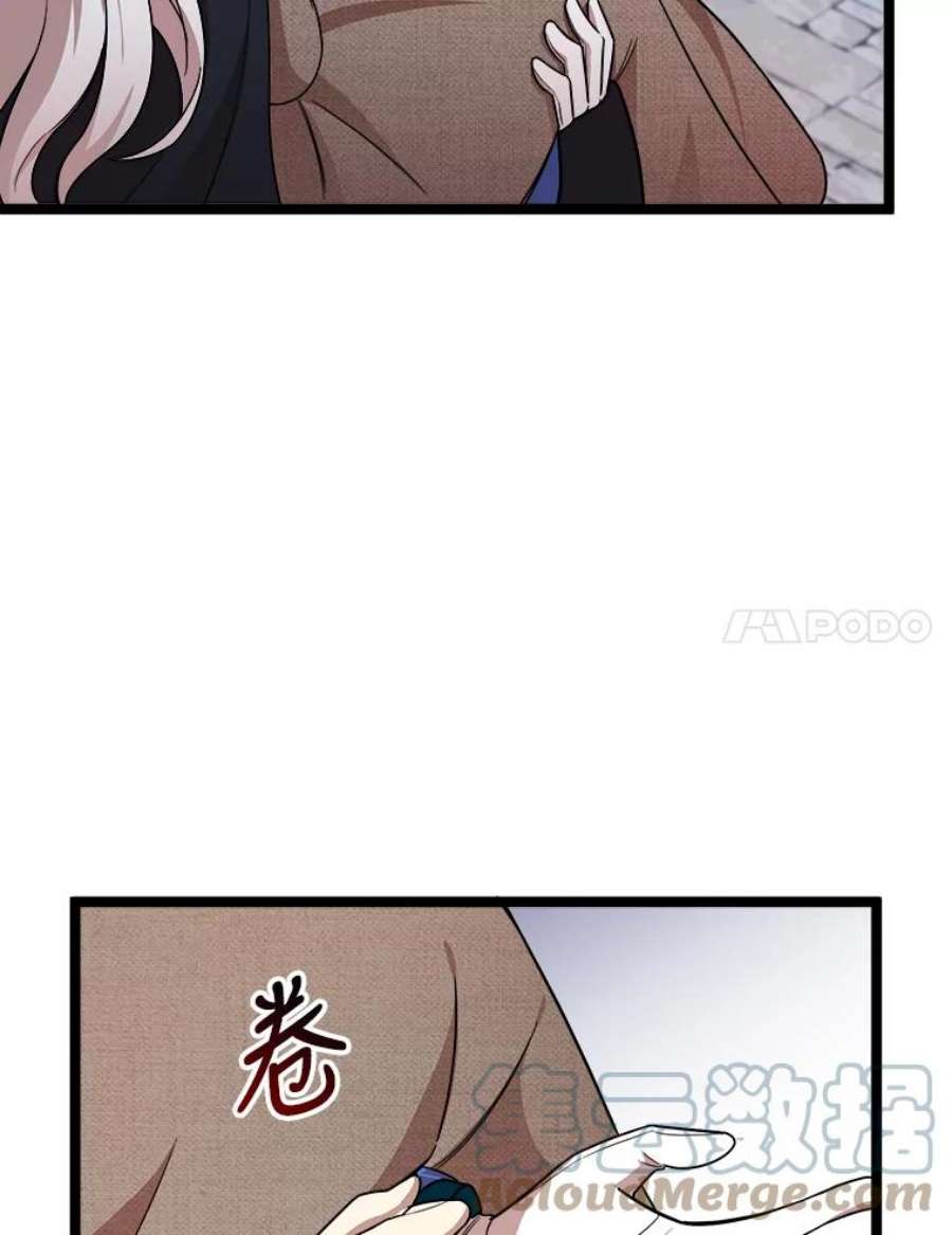 公女的危险哥哥们4.魔力中和石
