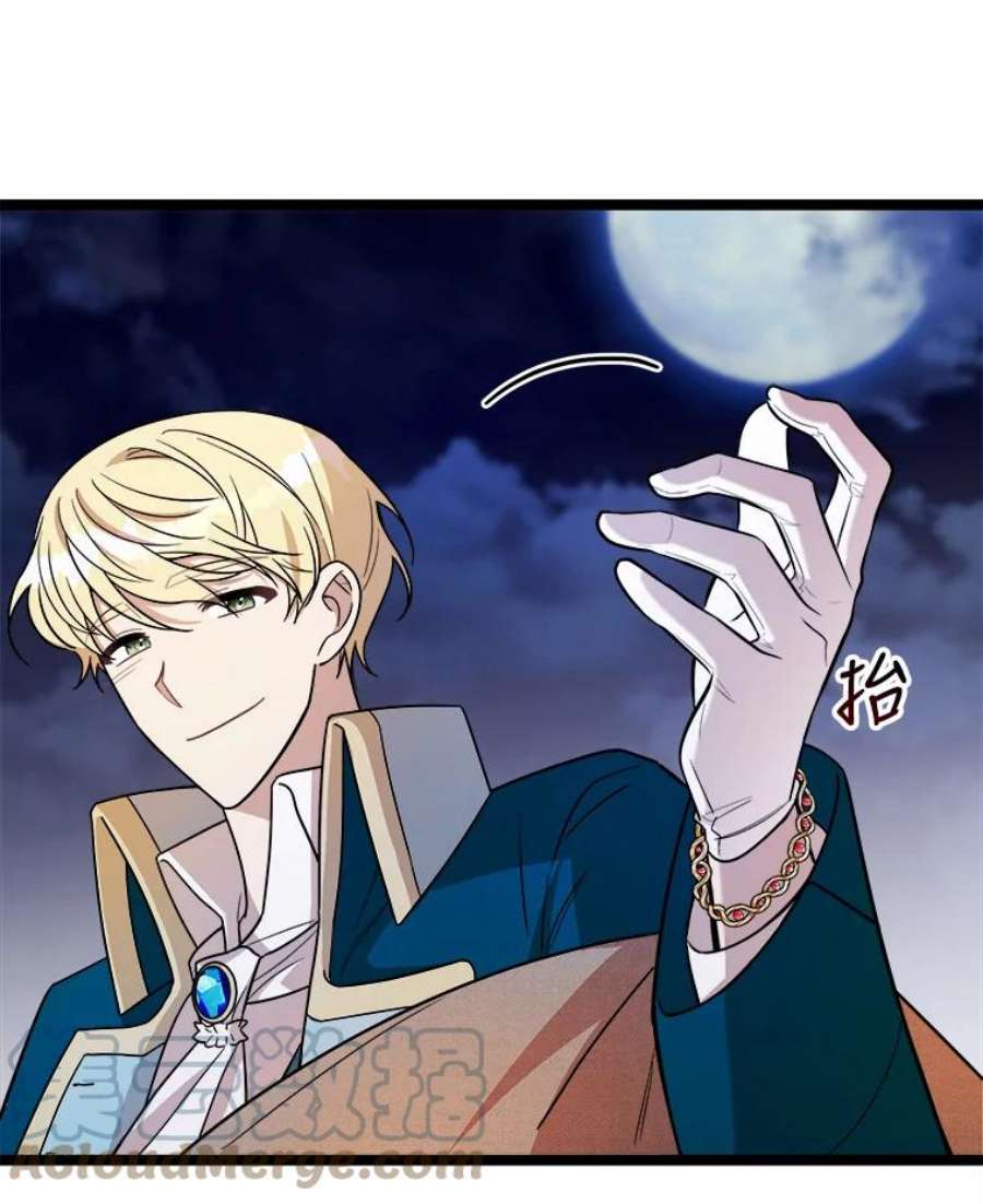 公女的危险哥哥们4.魔力中和石