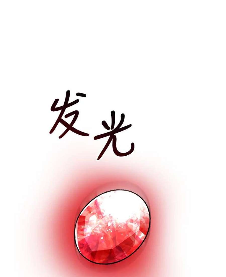 公女的危险哥哥们4.魔力中和石