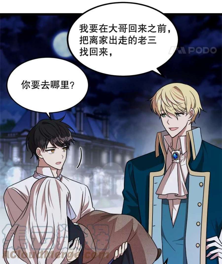 公女的危险哥哥们4.魔力中和石