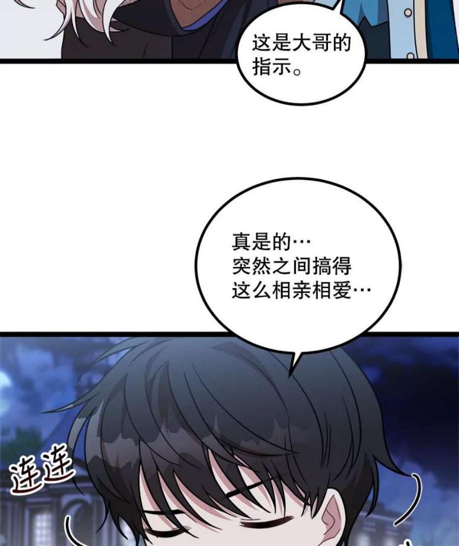 公女的危险哥哥们4.魔力中和石