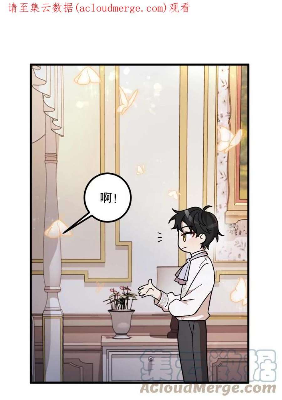 公女的危险哥哥们7.魔法蝴蝶