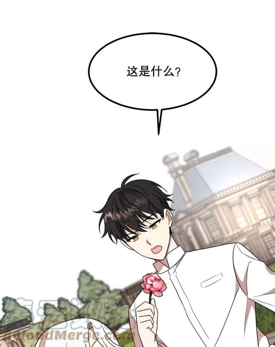 公女的危险哥哥们8.发光的书
