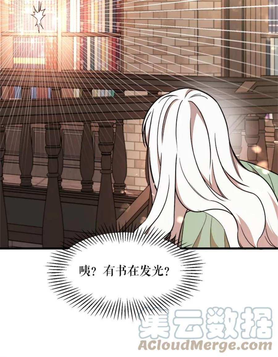 公女的危险哥哥们8.发光的书