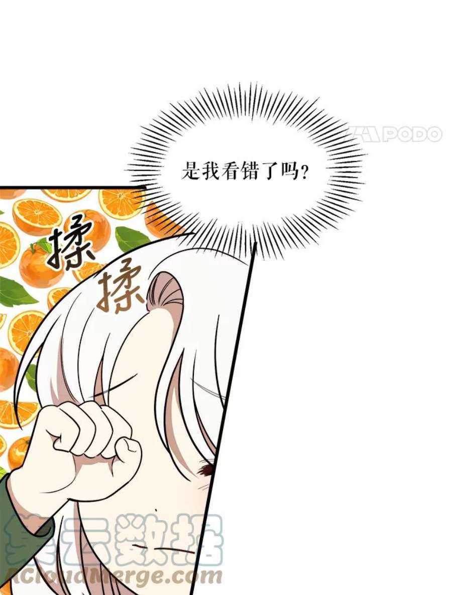 公女的危险哥哥们8.发光的书