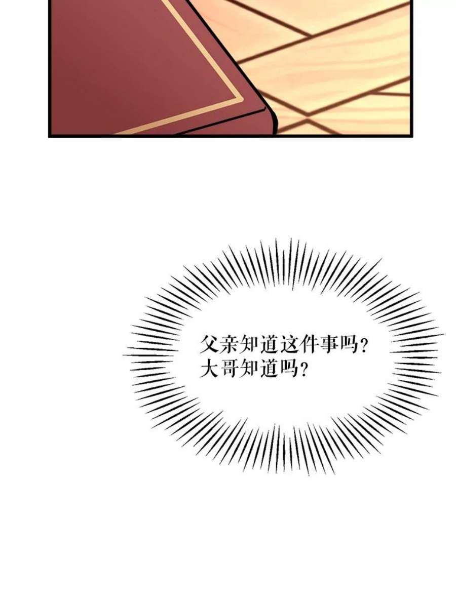 公女的危险哥哥们9.释义者