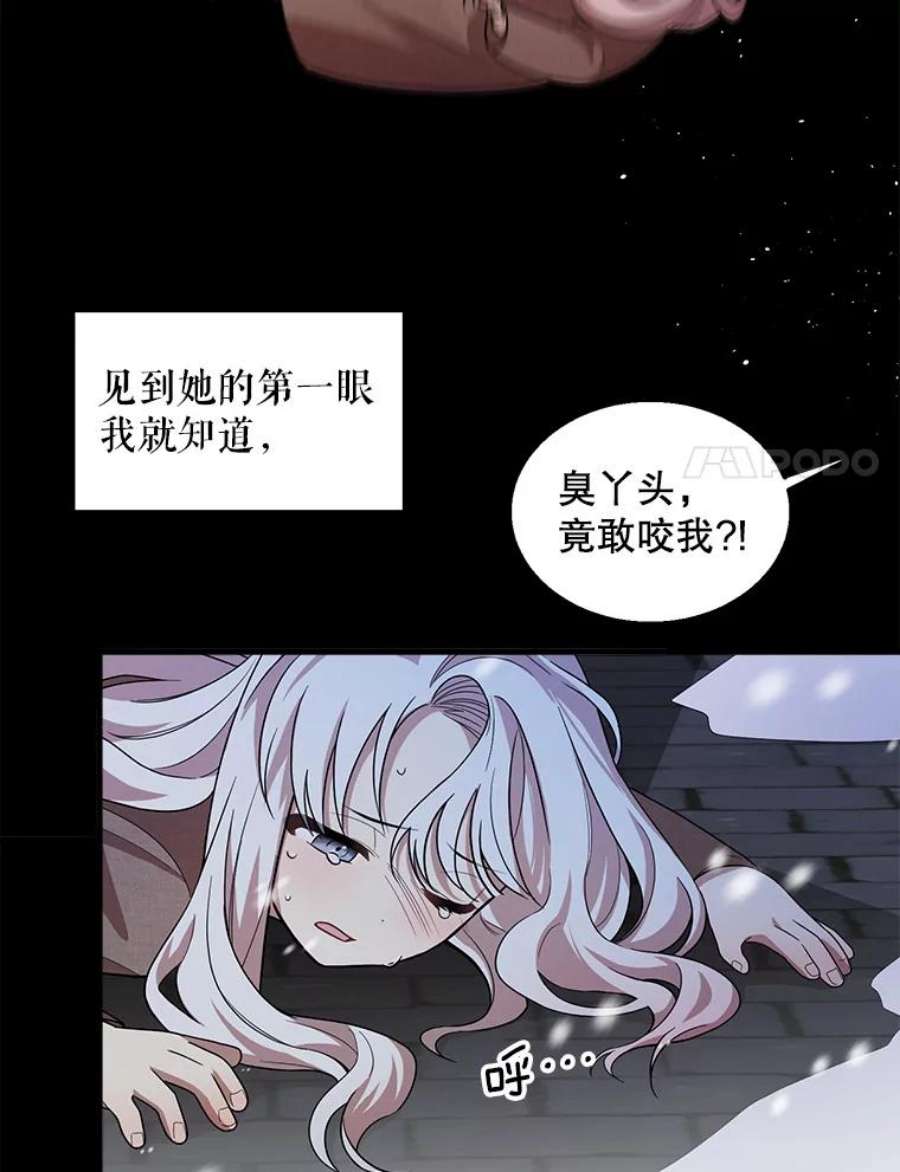 公女的危险哥哥们12.悲惨的童年
