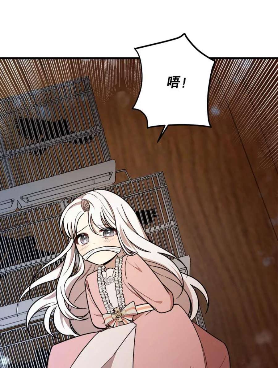 公女的危险哥哥们15.惨遭绑架