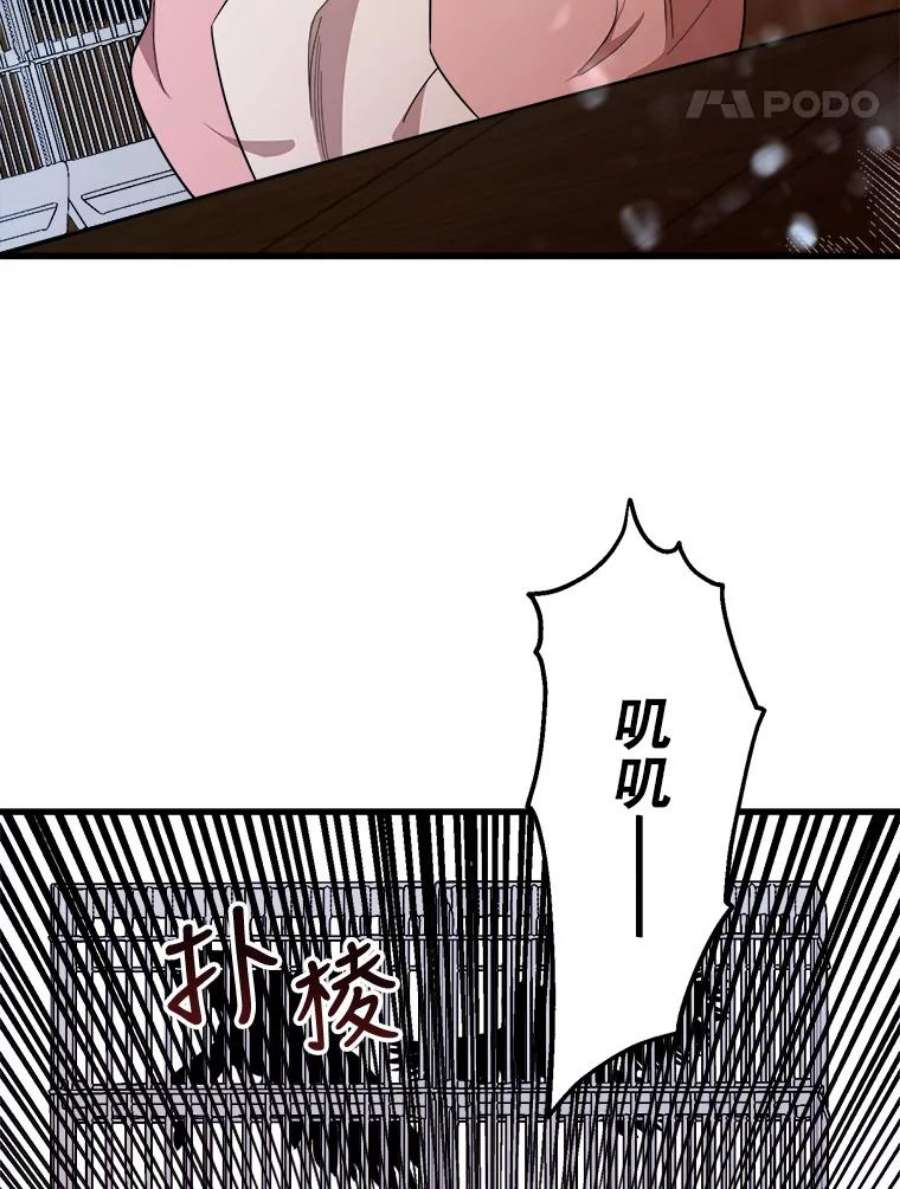 公女的危险哥哥们15.惨遭绑架