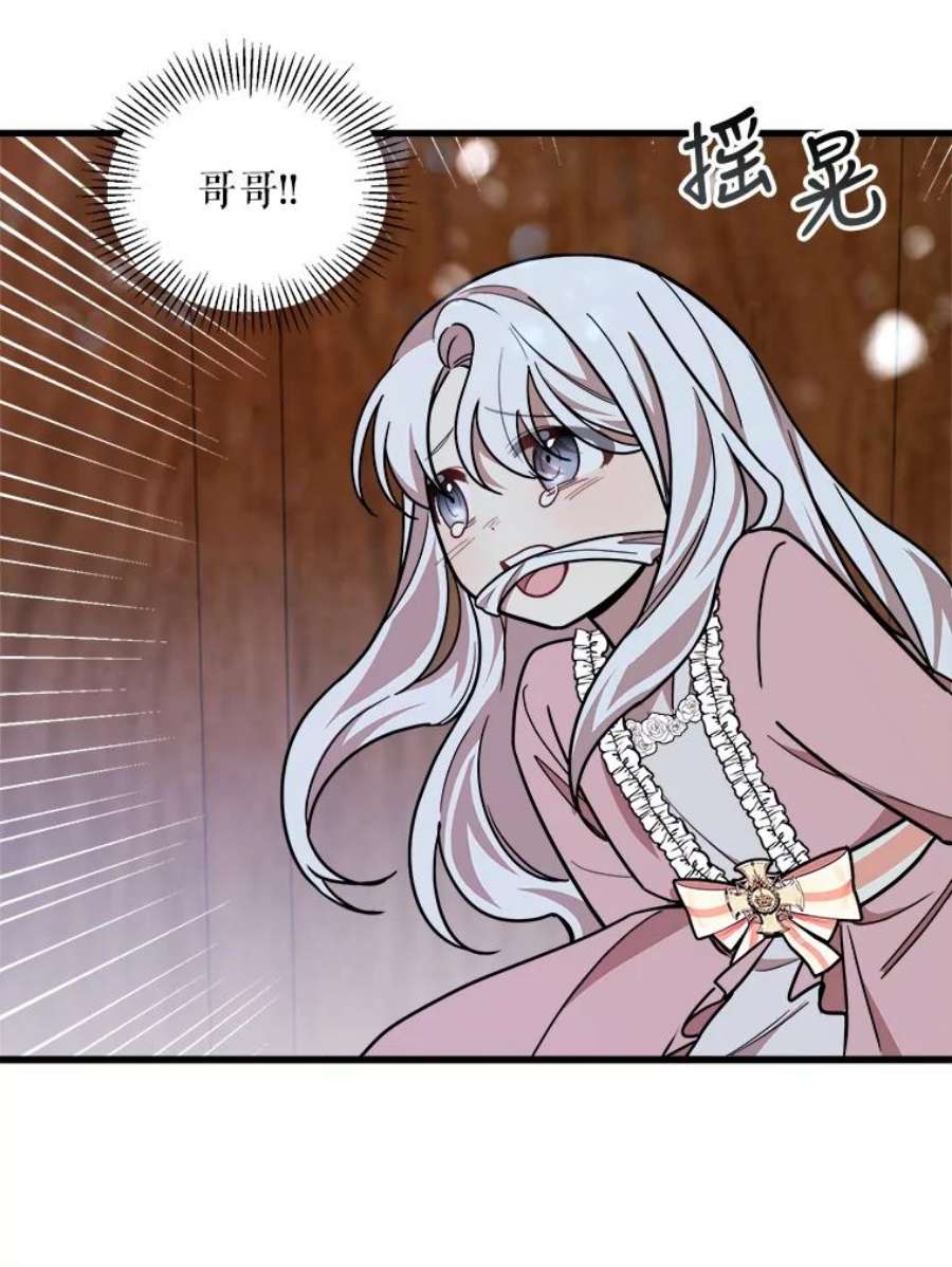 公女的危险哥哥们15.惨遭绑架